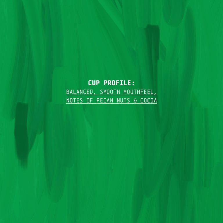 Cedar Cedar Seasonal Blend Coffee