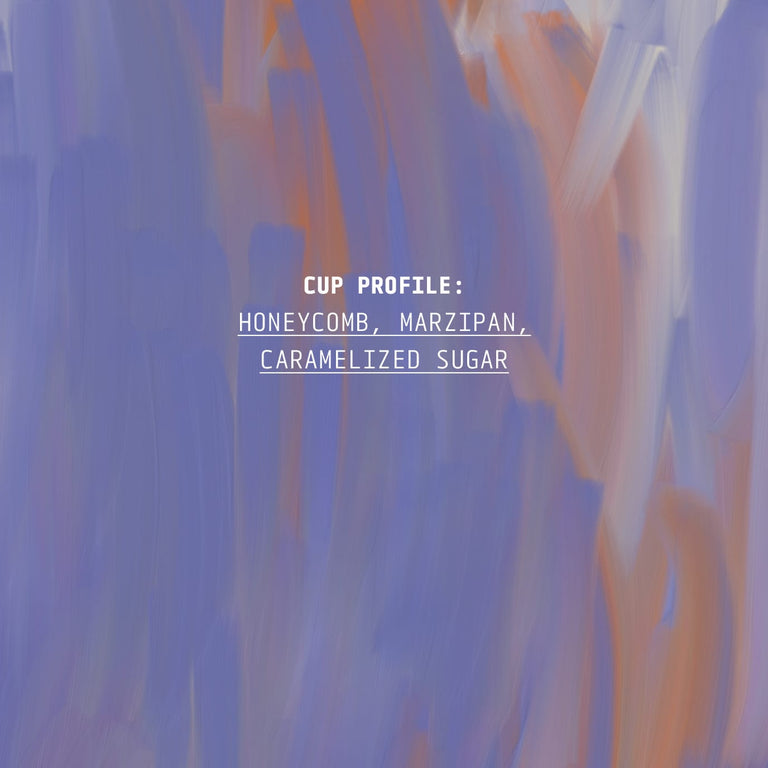 Cedar Colombia Decaf Coffee