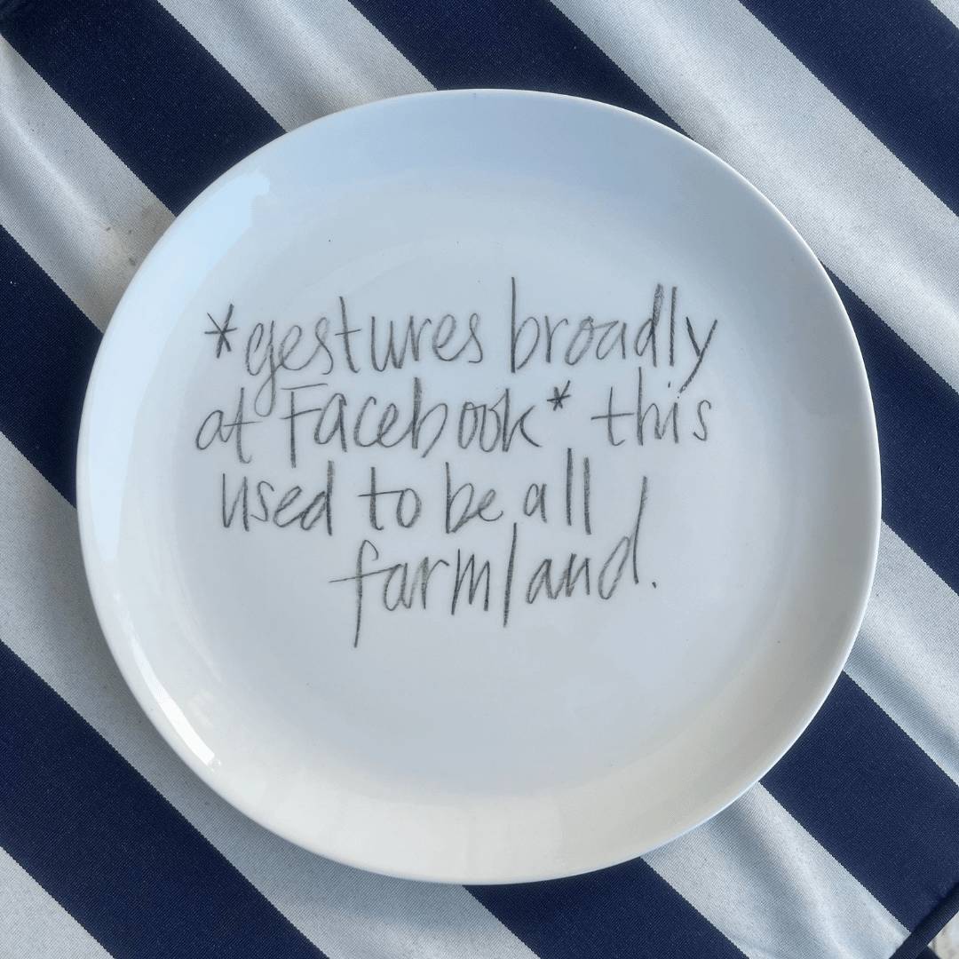 The Detailsmith Medium Handwritten Ceramic Plate ED 3 Farmland