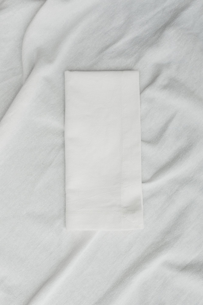 Palmar Collection Natural Cotton Napkin Set Ivory