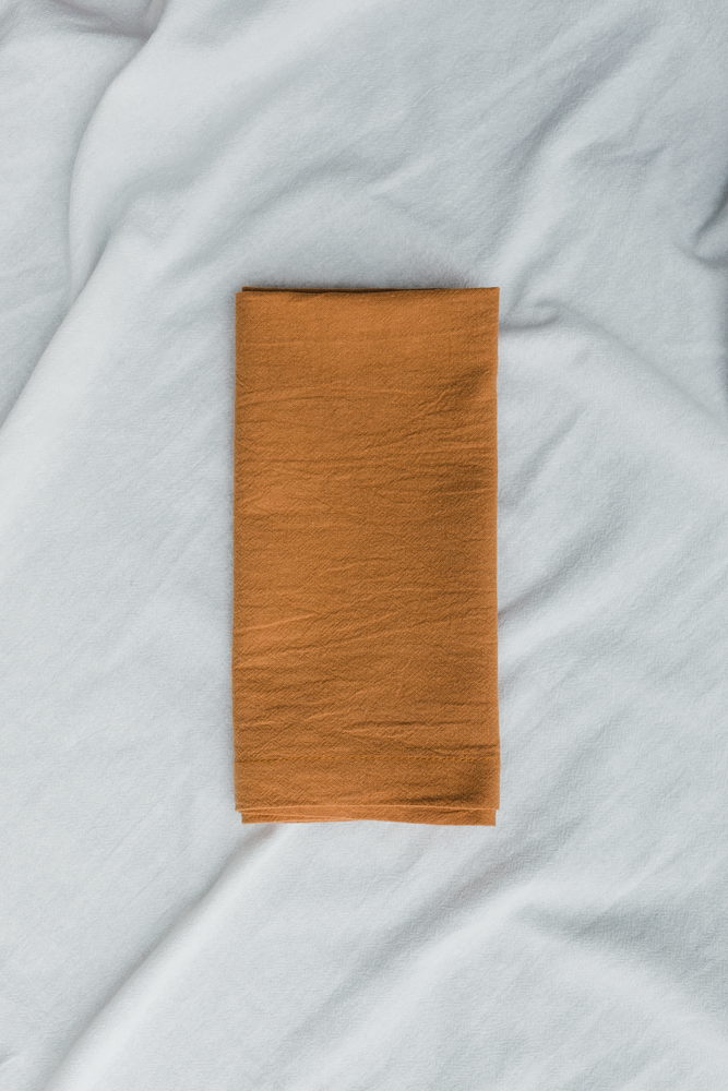 Palmar Collection Natural Cotton Napkin Set Rust