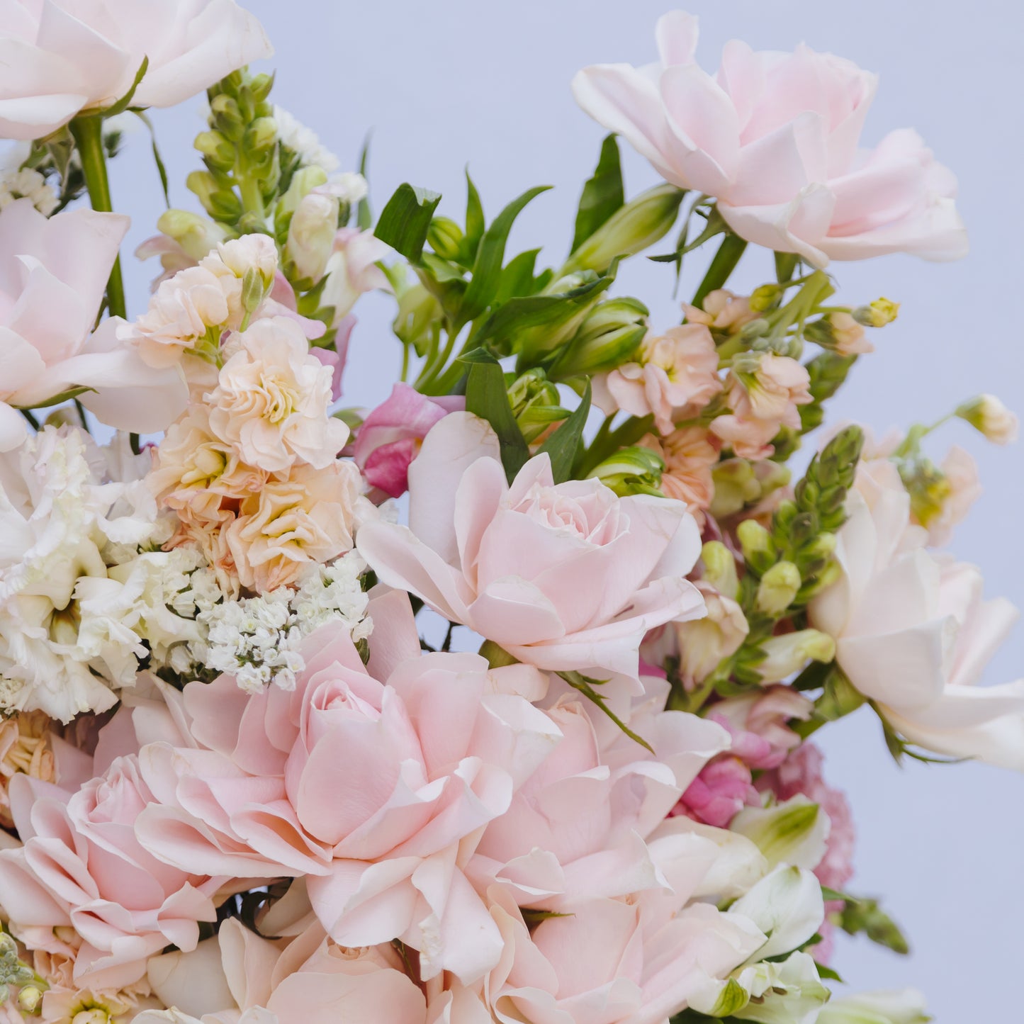 The Florist Johannesburg Best of the Day Hatbox